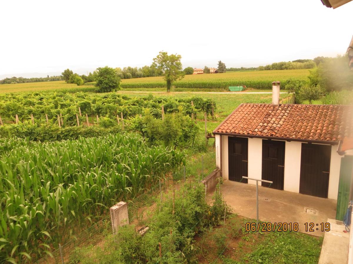 5 Palme Bed & Breakfast Terzo d' Aquileia Exterior photo
